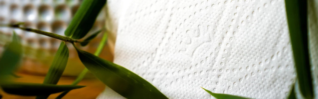 non-toxic bamboo toilet paper roll close-up with natural green leaves